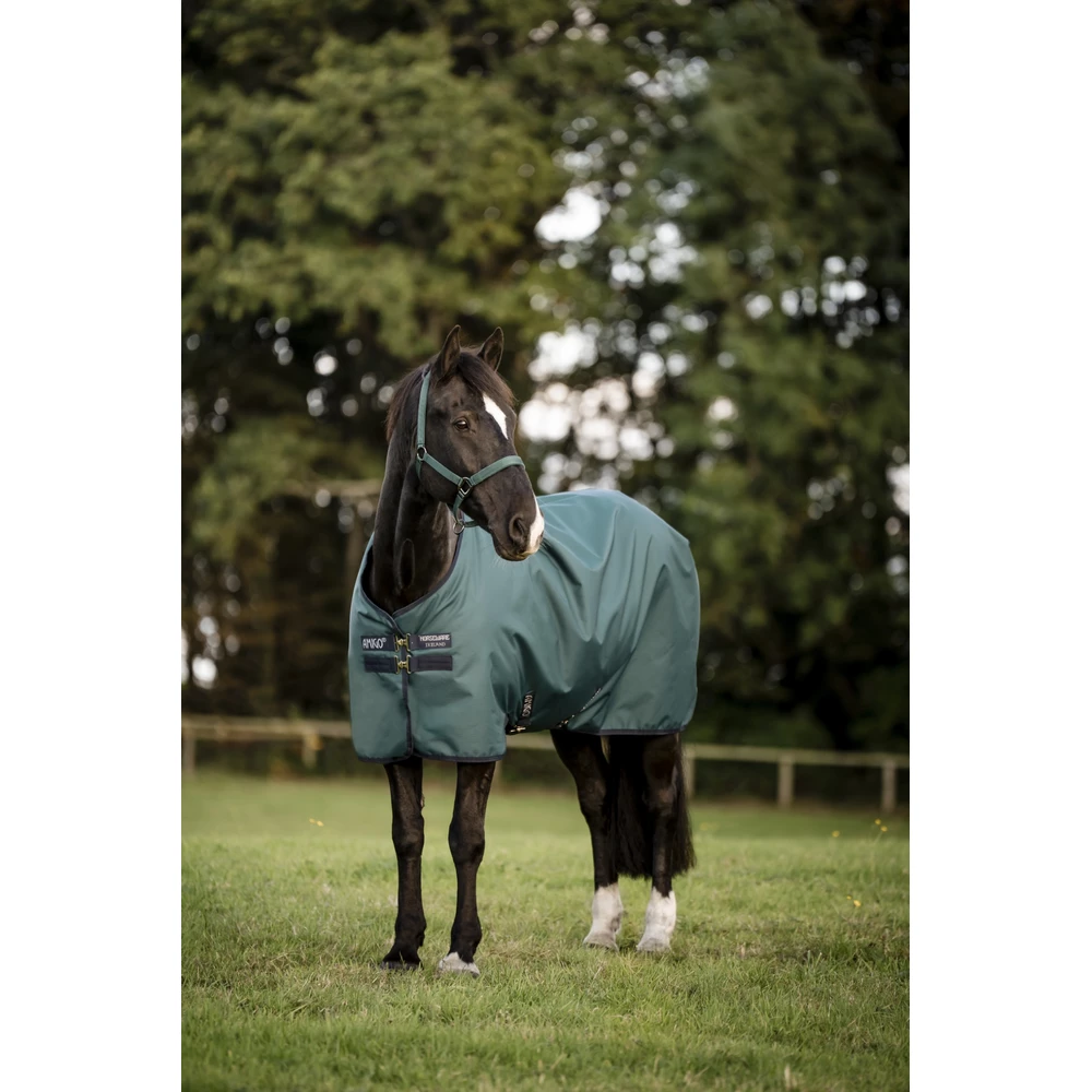 Horseware Amigo Amigo Ripstop 900D Pony Turnout 50g - Dynasty Green/Navy & Silver in Dynasty Green/Navy & Silver