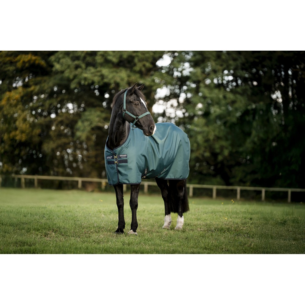 Horseware Amigo Amigo Ripstop 900D Pony Turnout 50g - Dynasty Green/Navy & Silver 