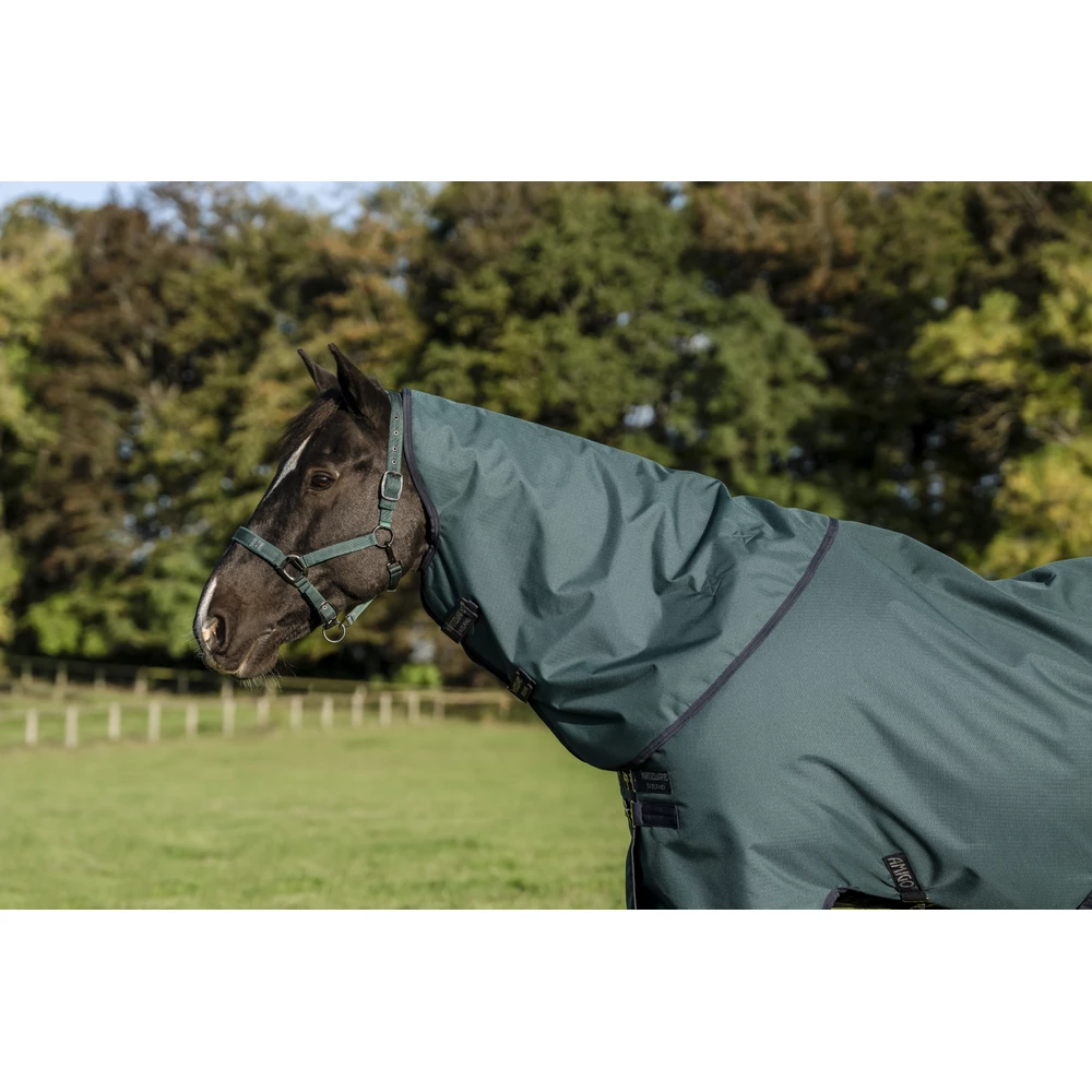 Horseware Amigo Amigo Ripstop 900D Turnout Hood 150g - Dynasty Green/Navy & Silver in Dynasty Green/Navy & Silver