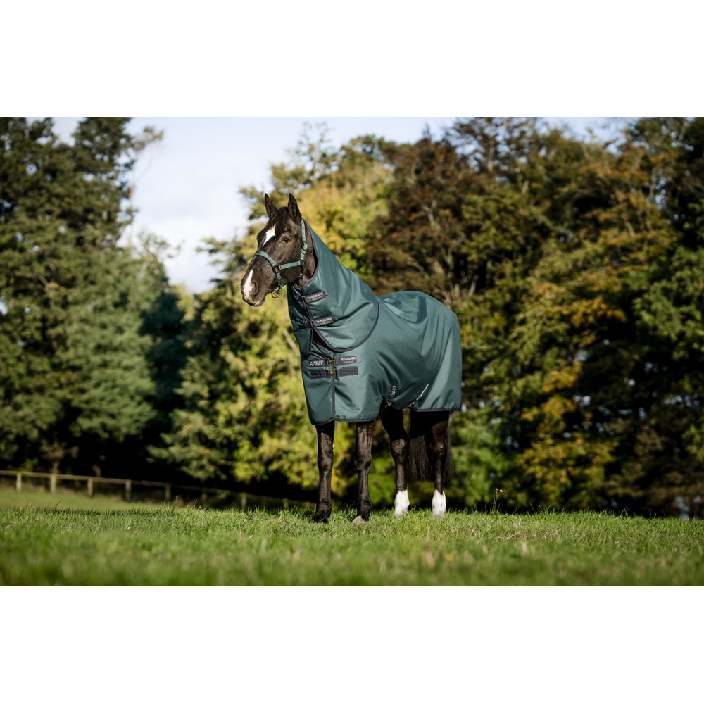 Horseware Amigo Amigo Ripstop 900D Plus Turnout 0g - Dynasty Green/Navy & Silver 