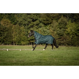 Horseware Amigo Amigo Ripstop 900D Plus Turnout 100g - Dynasty Green/Navy & Silver in Dynasty Green/Navy & Silver