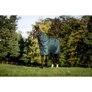 Horseware Amigo Amigo Ripstop 900D Plus Turnout 100g - Dynasty Green/Navy & Silver in Dynasty Green/Navy & Silver