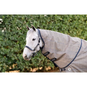 Horseware Amigo Amigo 900D Revive Plus Turnout 50g - Seasonal Colour in Seasonal Colour