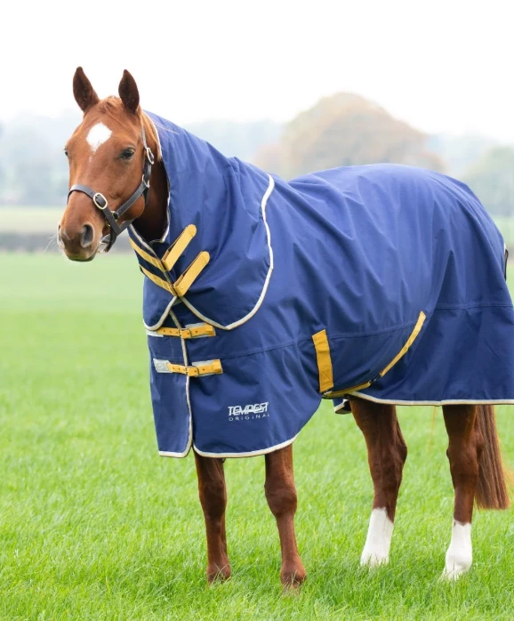Tempest Original 50g Turnout Rug & Neck - NAVY in Navy
