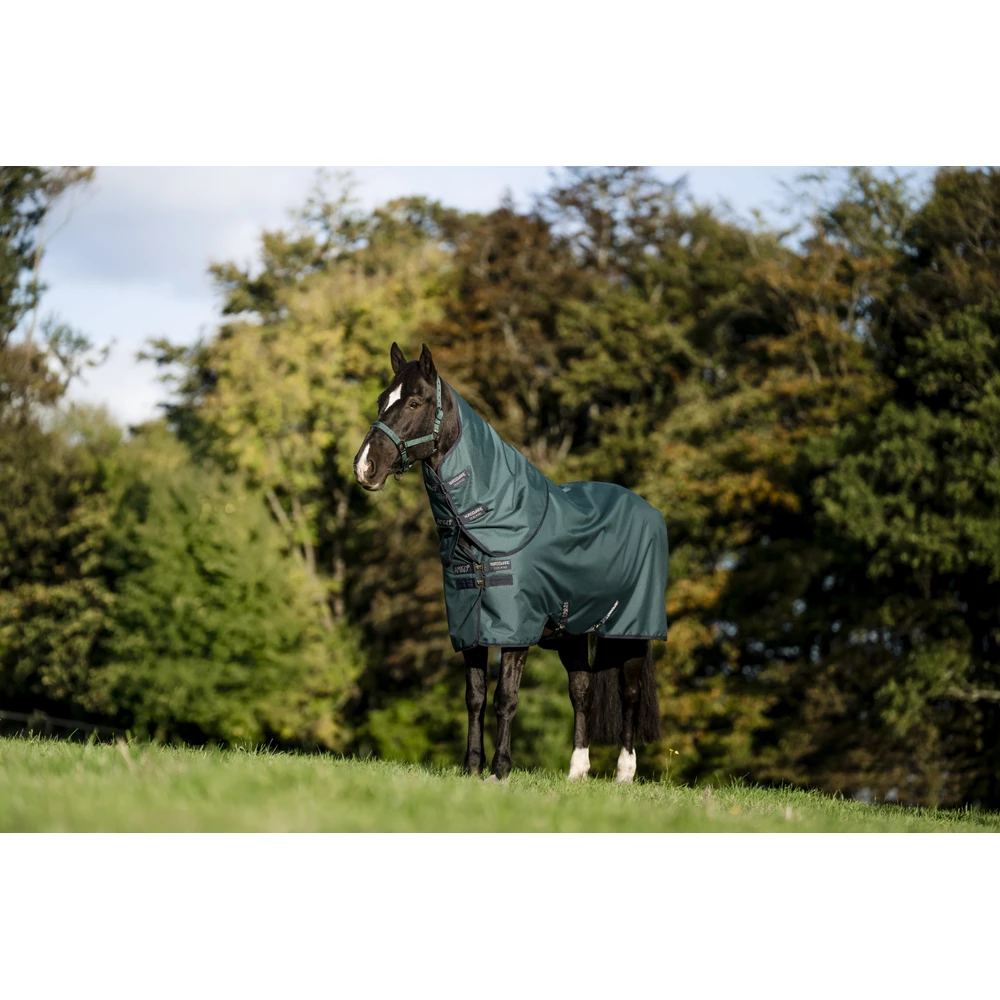 Horseware Amigo Amigo Ripstop 900D Plus Pony Turnout 100g - Dynasty Green/Navy & Silver in Dynasty Green/Navy & Silver