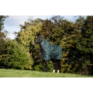 Horseware Amigo Amigo Ripstop 900D Plus Pony Turnout 100g - Dynasty Green/Navy & Silver in Dynasty Green/Navy & Silver