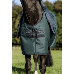 Horseware Amigo Amigo Ripstop 900D Plus Pony Turnout 100g - Dynasty Green/Navy & Silver 