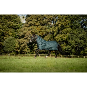 Horseware Amigo Amigo Ripstop 900D Plus Pony Turnout 100g - Dynasty Green/Navy & Silver in Dynasty Green/Navy & Silver