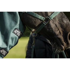 Horseware Amigo Amigo Ripstop 900D Plus Pony Turnout 100g - Dynasty Green/Navy & Silver in Dynasty Green/Navy & Silver