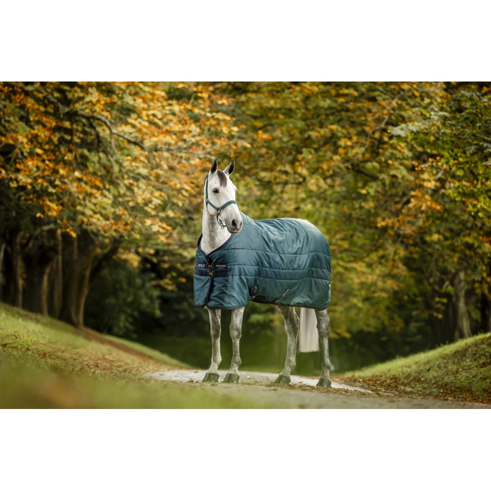 Horseware Amigo Amigo Ripstop Insulator Stable 350g - Dynasty Green/Navy & Silver in Dynasty Green/Navy & Silver
