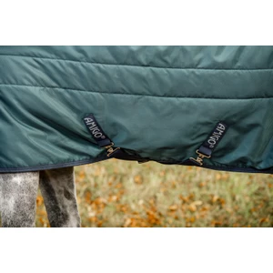 Horseware Amigo Amigo Ripstop Insulator Stable 350g - Dynasty Green/Navy & Silver in Dynasty Green/Navy & Silver