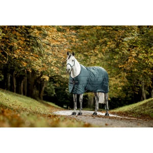 Horseware Amigo Amigo Ripstop Insulator Stable 350g - Dynasty Green/Navy & Silver in Dynasty Green/Navy & Silver