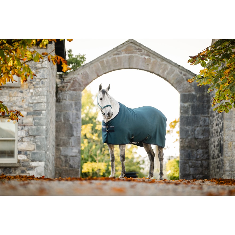 Horseware Rambo Rambo Techni Waffle Cooler - Dynasty Green/Navy & Silver 