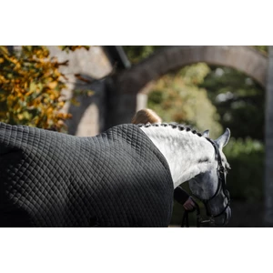 Horseware Thermal Cooler - Black/Thunderstorm Grey & Silver 