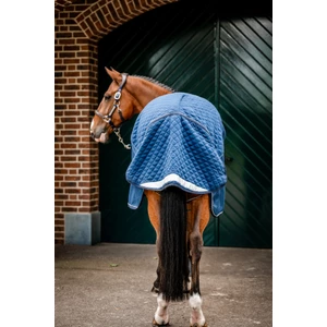 Horseware Signature Travel Cooler - Navy in Navy
