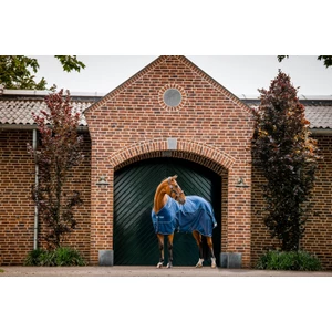 Horseware Signature Travel Cooler - Navy in Navy
