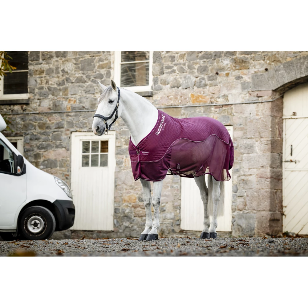 Horseware Signature Travel Cooler - Burgundy in Burgundy