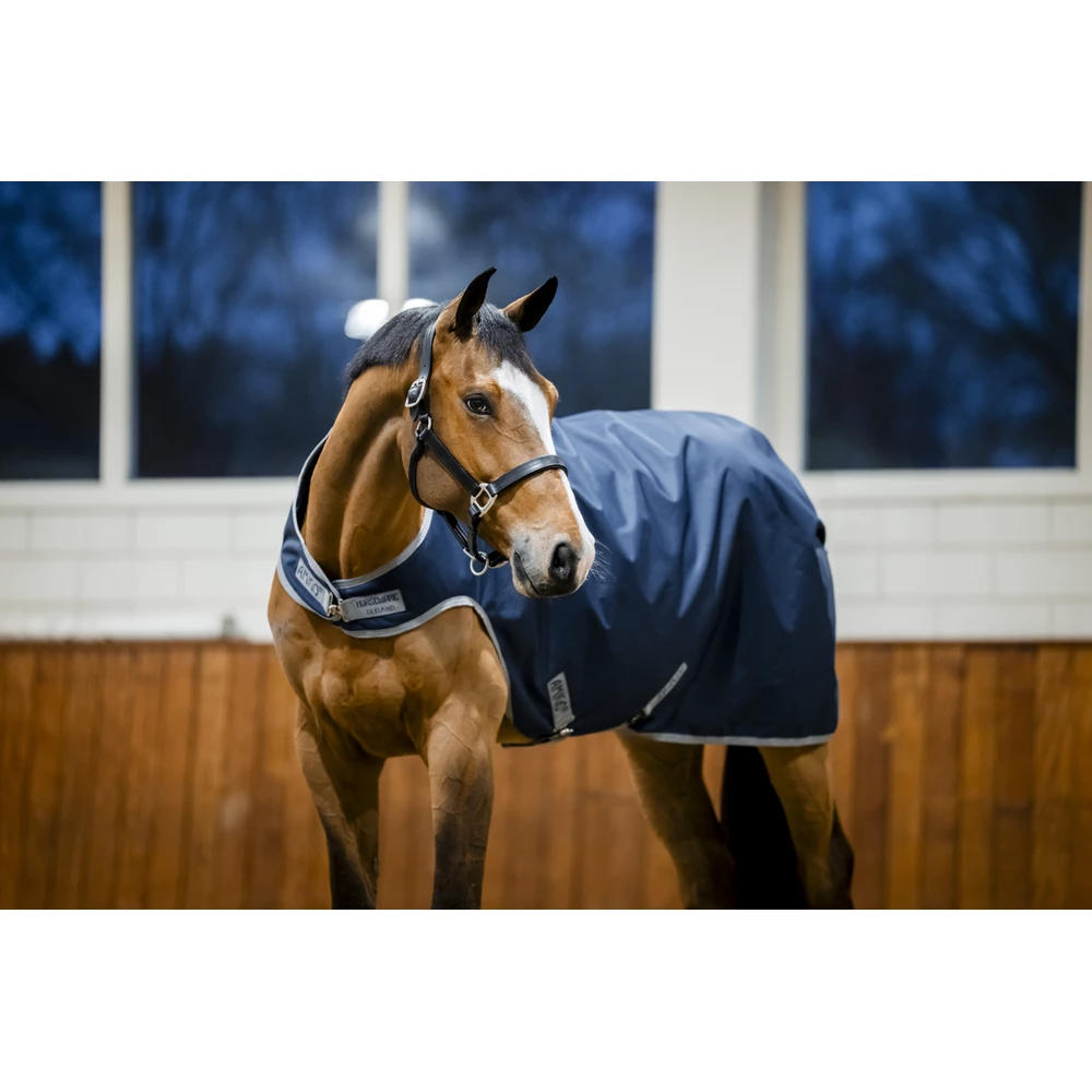 Horseware Amigo Amigo Ripstop 900D Walker Rug 100g - Navy/Titanium Grey in Navy/Titanium Grey