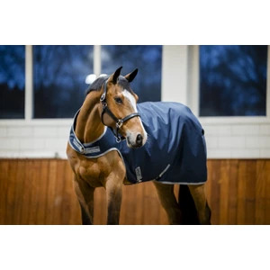 Horseware Amigo Amigo Ripstop 900D Walker Rug 100g - Navy/Titanium Grey in Navy/Titanium Grey
