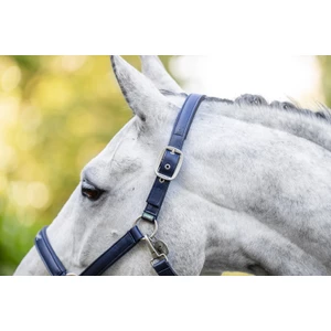 Horseware Grooming Headcollar - Navy in Navy