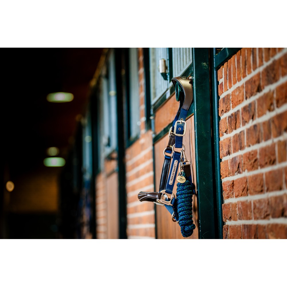 Horseware Signature Webbing Headcollar - Brown/Navy 