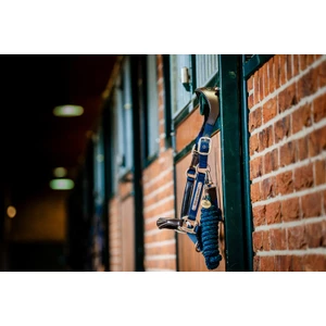 Horseware Signature Webbing Headcollar - Brown/Navy in Brown/Navy