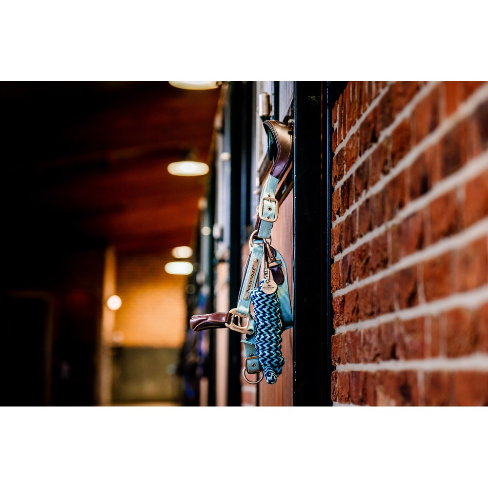 Horseware Signature Webbing Headcollar - Brown/Blue Haze