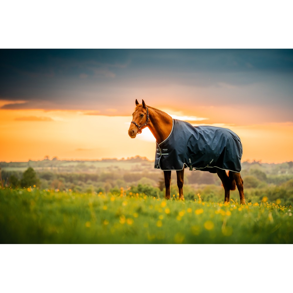 Horseware Amigo Amigo Ripstop 900D Pony Turnout 0g  - Witney Navy