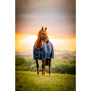 Horseware Amigo Amigo Ripstop 900D Pony Turnout 0g  - Witney Navy 