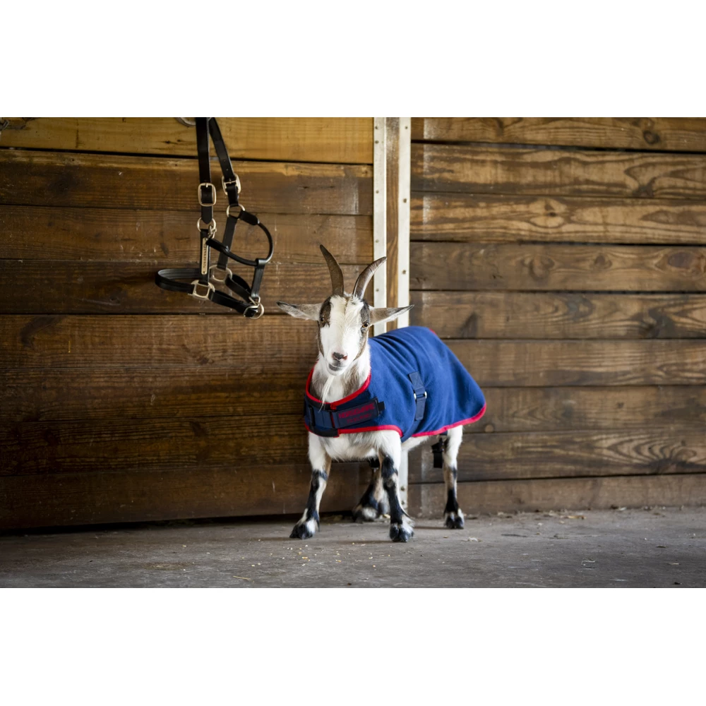Horseware Goat Fleece - Navy/Red in Navy/Red