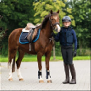 QHP Body protector Junior Navy in Navy