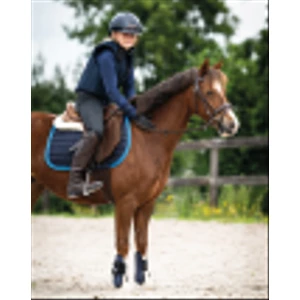 QHP Body protector Junior Navy in Navy