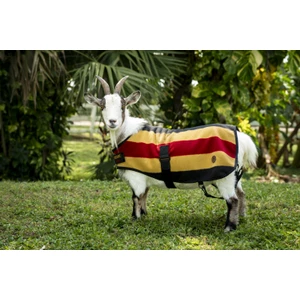 Horseware Newmarket Goat Fleece - Witney Gold in Witney Gold