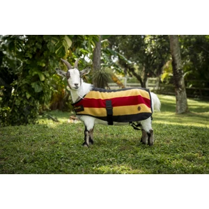 Horseware Newmarket Goat Fleece - Witney Gold in Witney Gold