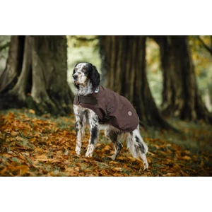Horseware Newmarket Heritage Dog Coat - Brown/Witney Navy in Brown/Witney Navy