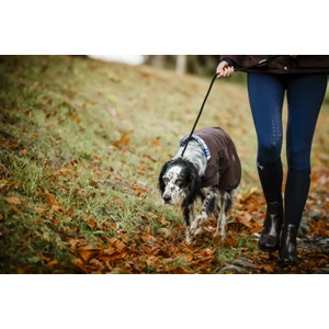 Horseware Newmarket Heritage Dog Coat - Brown/Witney Navy 