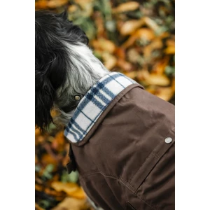 Horseware Newmarket Heritage Dog Coat - Brown/Witney Navy in Brown/Witney Navy