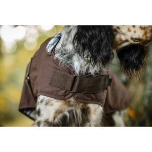 Horseware Newmarket Heritage Dog Coat - Brown/Witney Navy in Brown/Witney Navy