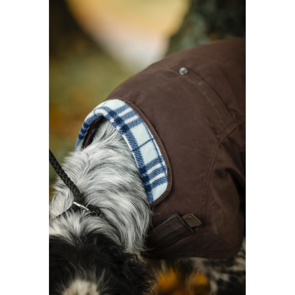 Horseware Newmarket Heritage Dog Coat - Brown/Witney Navy 