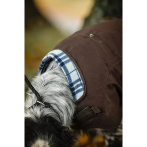 Horseware Newmarket Heritage Dog Coat - Brown/Witney Navy in Brown/Witney Navy