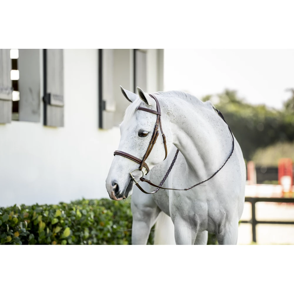 Horseware Pony Hunter Cavesson Bridle w/reins - Brown in Brown