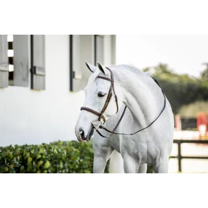 Horseware Pony Hunter Cavesson Bridle w/reins - Brown in Brown