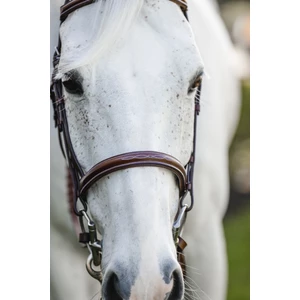 Horseware Pony Hunter Cavesson Bridle w/reins - Brown in Brown