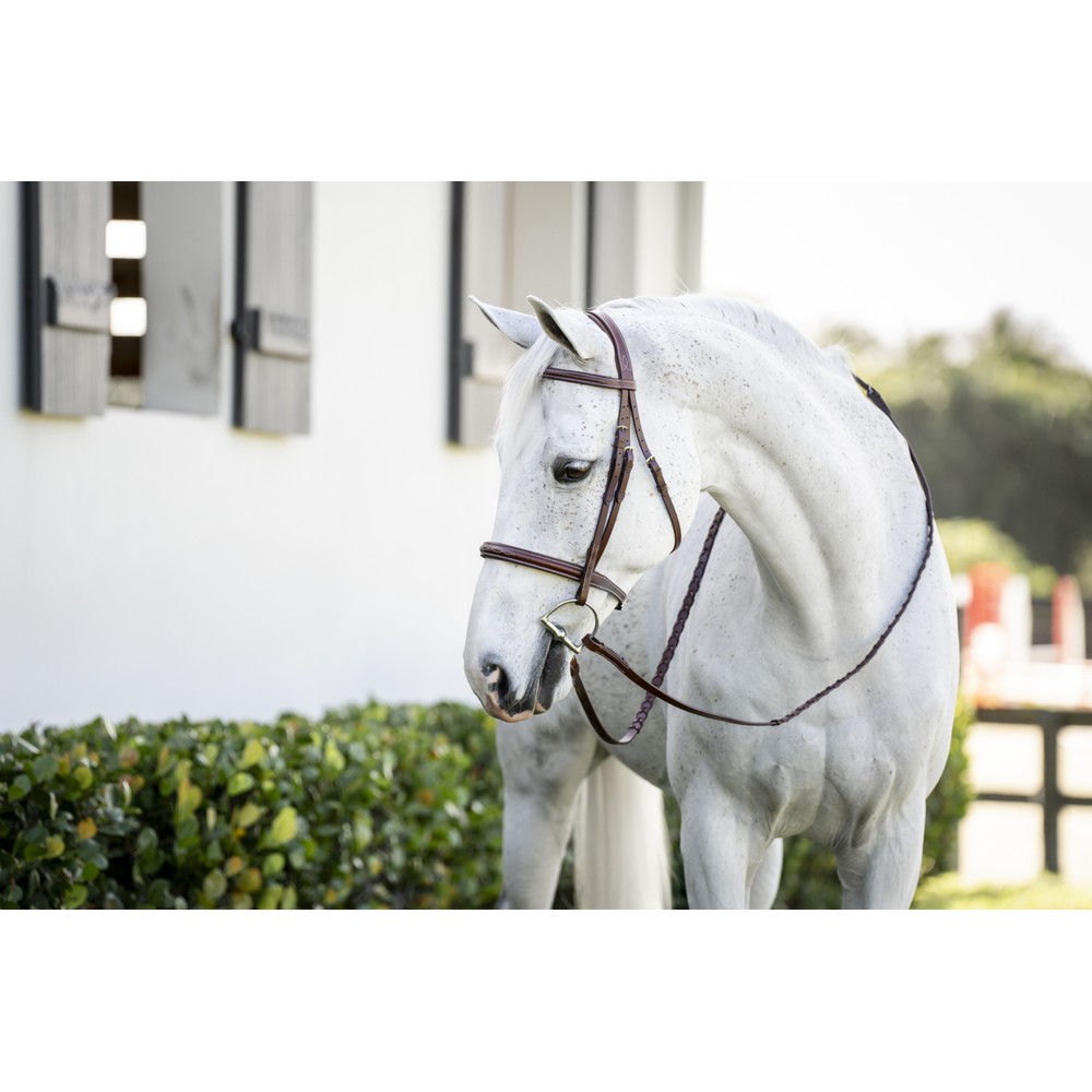 Horseware Pony Hunter Cavesson Bridle w/reins - Brown 