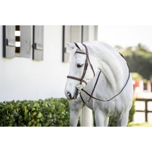 Horseware Pony Hunter Cavesson Bridle w/reins - Brown in Brown