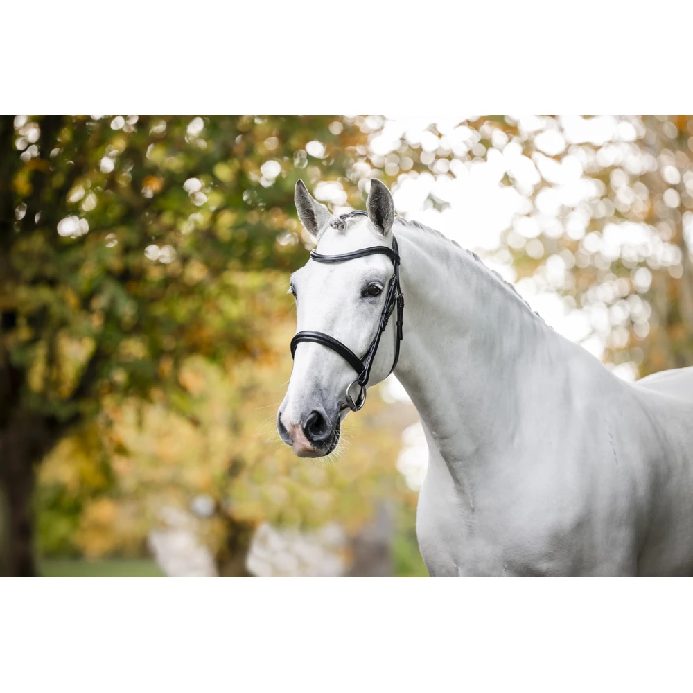 Horseware Cavesson Bridle - Black in Black