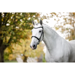 Horseware Cavesson Bridle - Black in Black