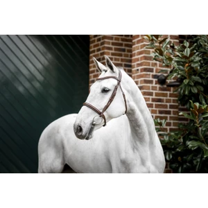 Horseware Cavesson Bridle - Brown in Brown