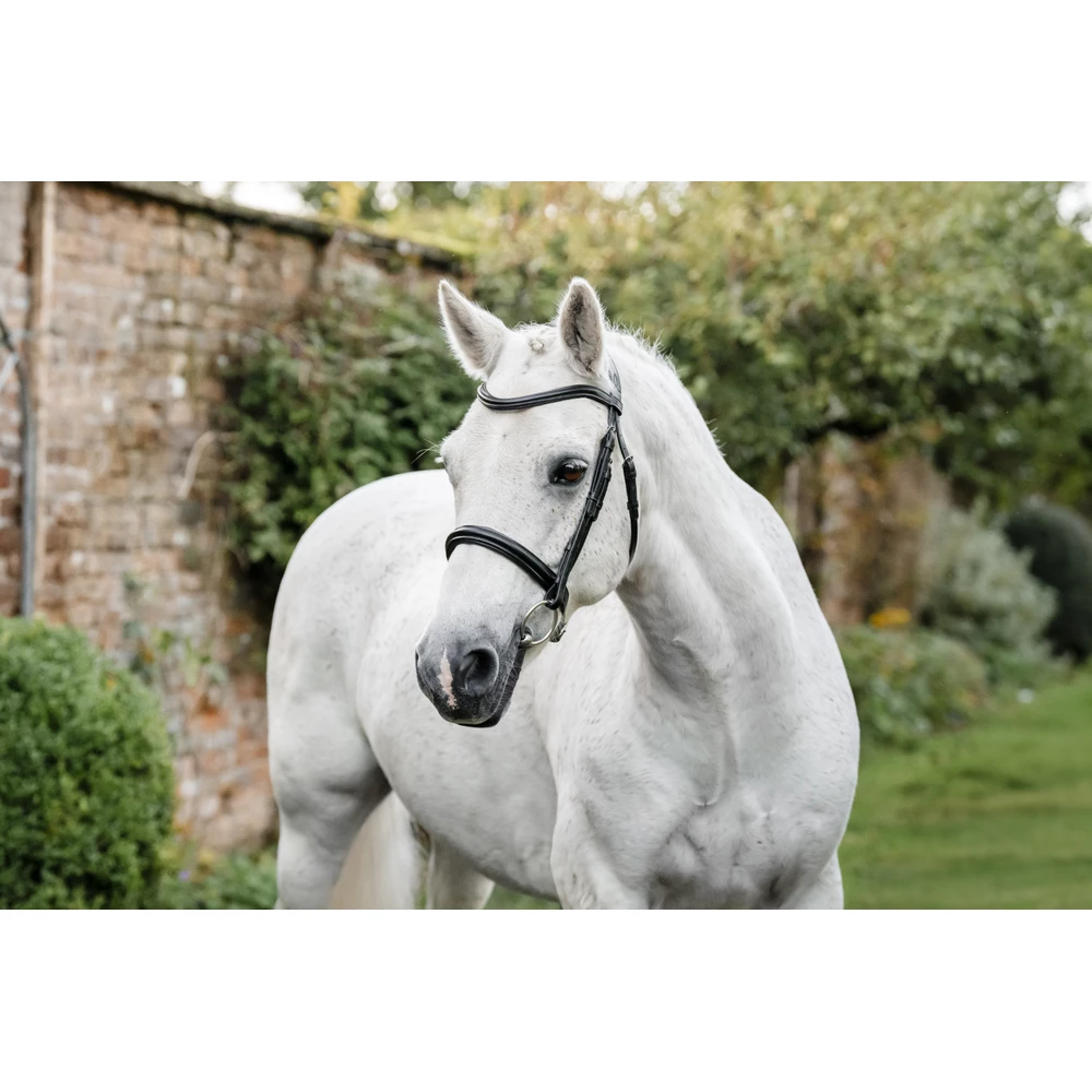 Horseware Pony Cavesson Bridle - Black in Black