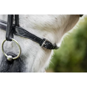 Horseware Pony Cavesson Bridle - Black in Black